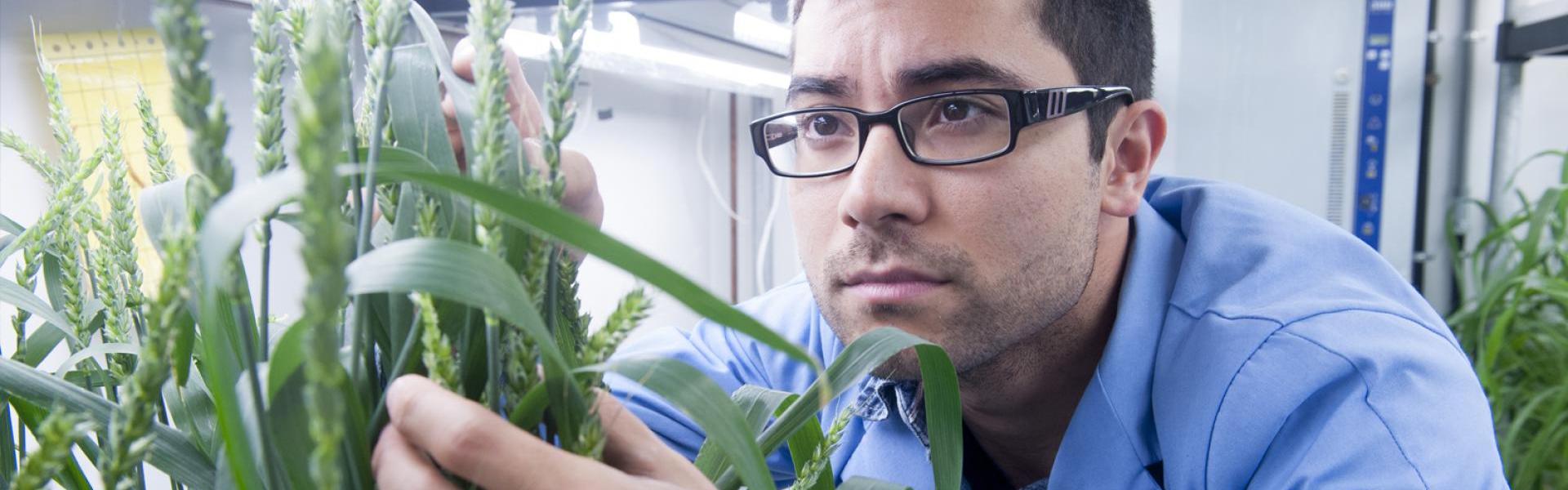 student looking at a plant in a lab