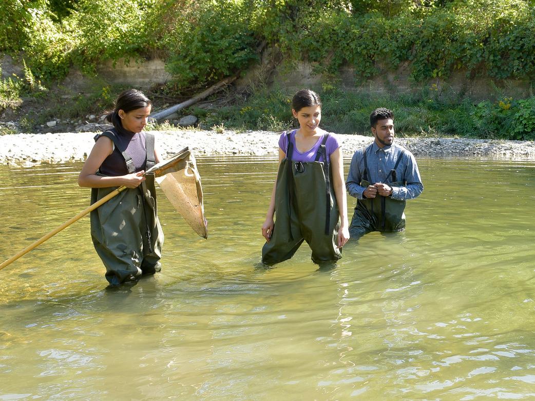Students on a field trip in the water at the base of an incline, with nets