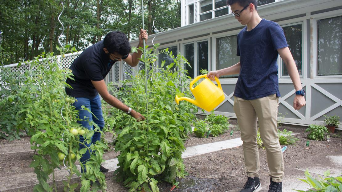 Residence students take some time out from academic life to tend to the community gardens.