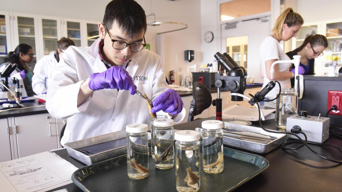 Students work in an environmental science lab.
