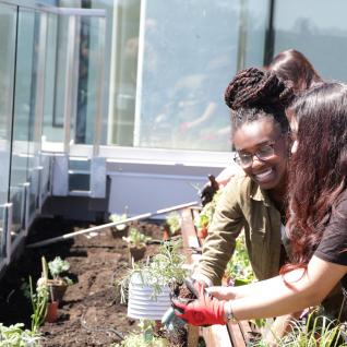 The IC rooftop garden is an urban garden at U of T Scarborough