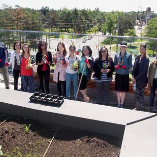 The IC rooftop garden is an urban garden at U of T Scarborough