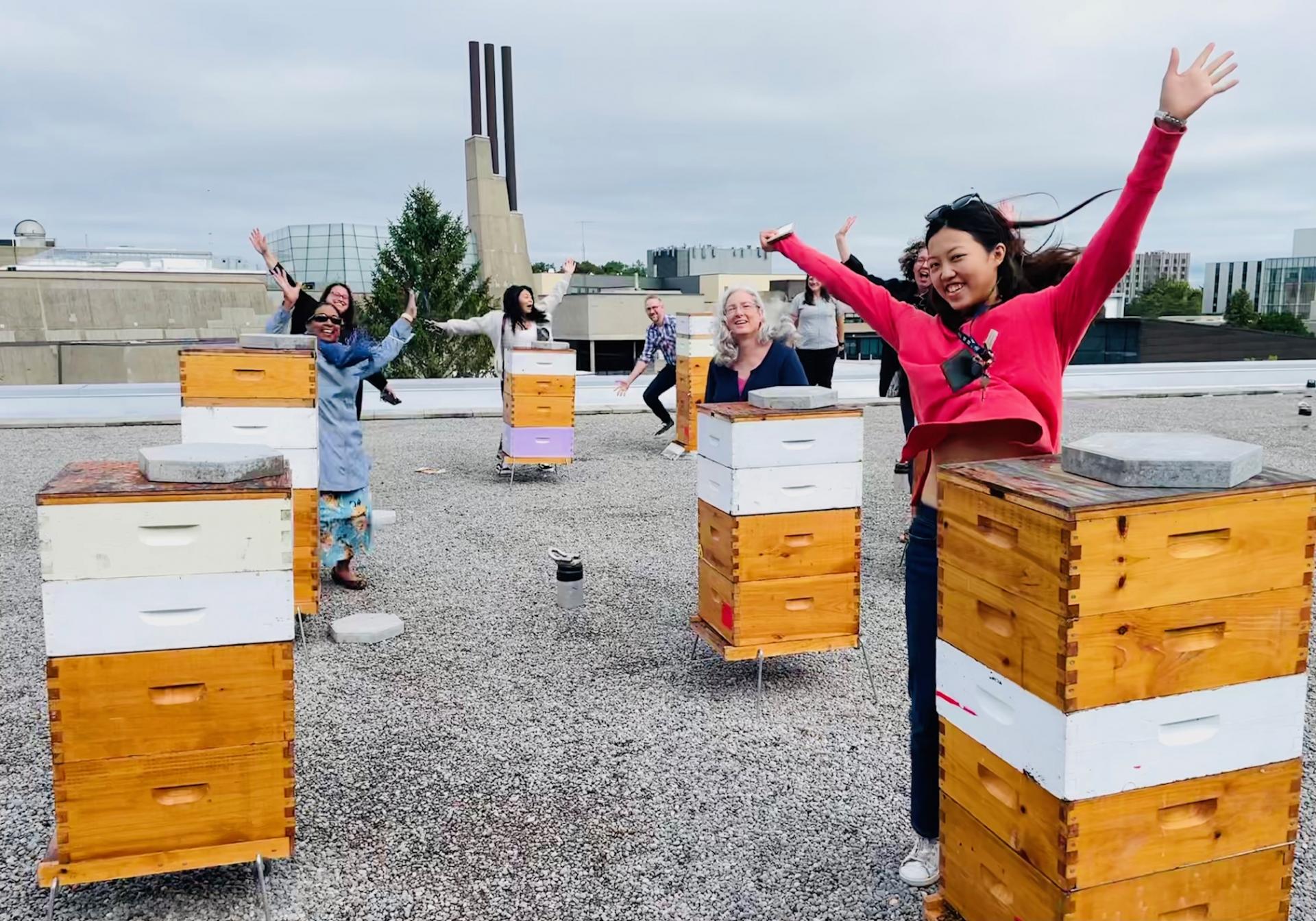 Members of Deans Administrative Group jumping up from behind bee hives on the rooftop of the Kina Wiiya Enadong Building