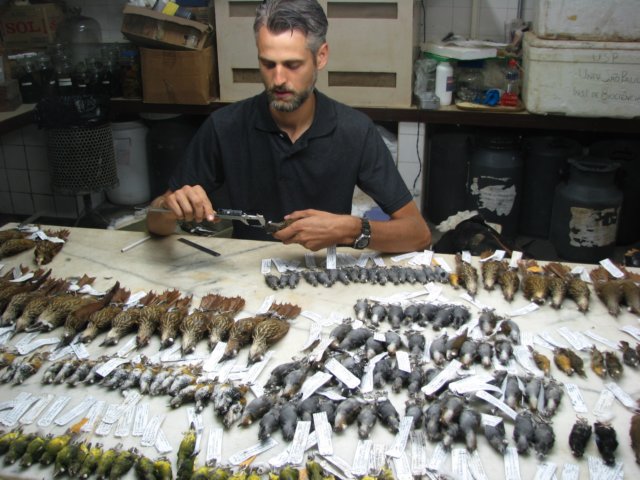 specimens2.jpg