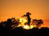 sunset1_small.jpg