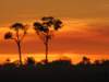 sunset2_small.jpg