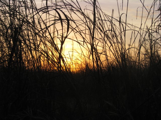 sunset3.jpg