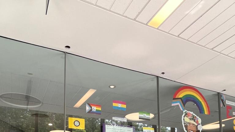 AccessAbility window display for PRIDE month showing stats on intersectionality of disaiblity and 2SLGBTQ+ communities