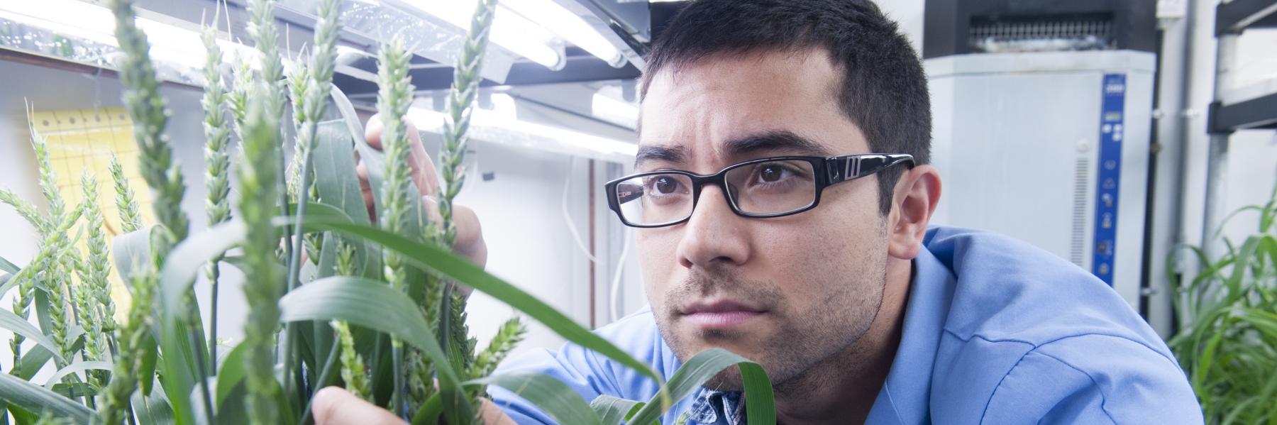 graduate student looking at a plant