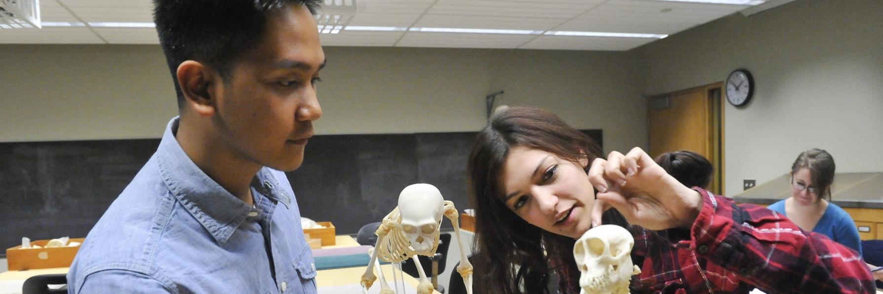 students in anthropology lab