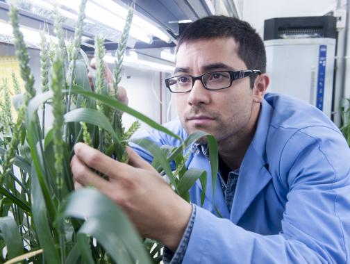 graduate student looking at a plant