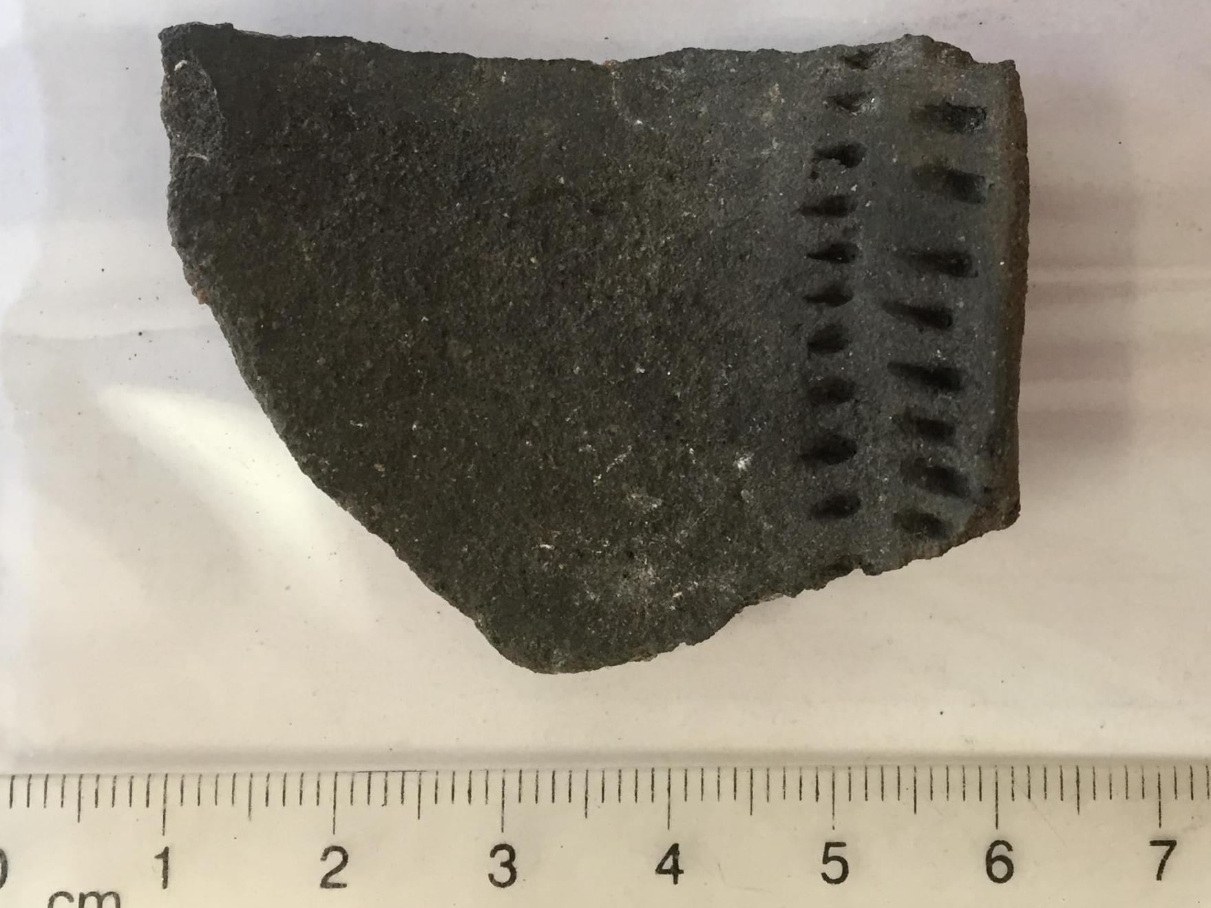 A fragment of pottery