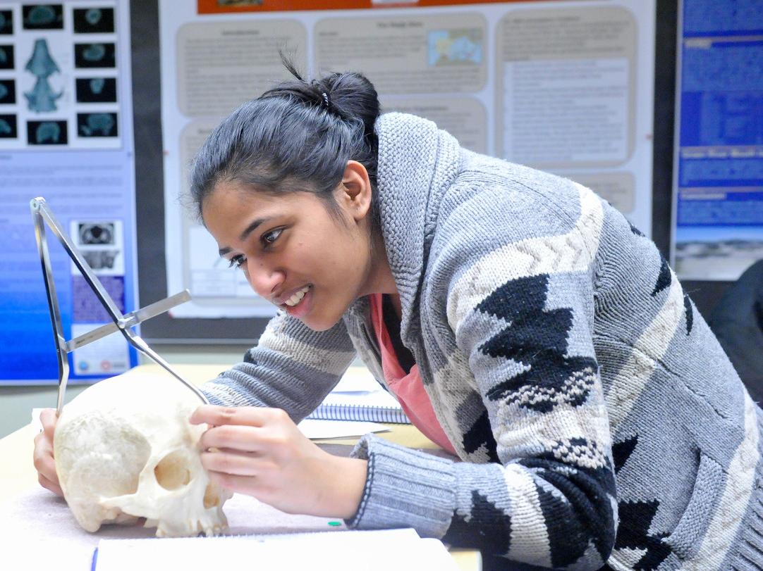 Student measures skull