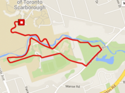 Principal's Walk: 4km return
