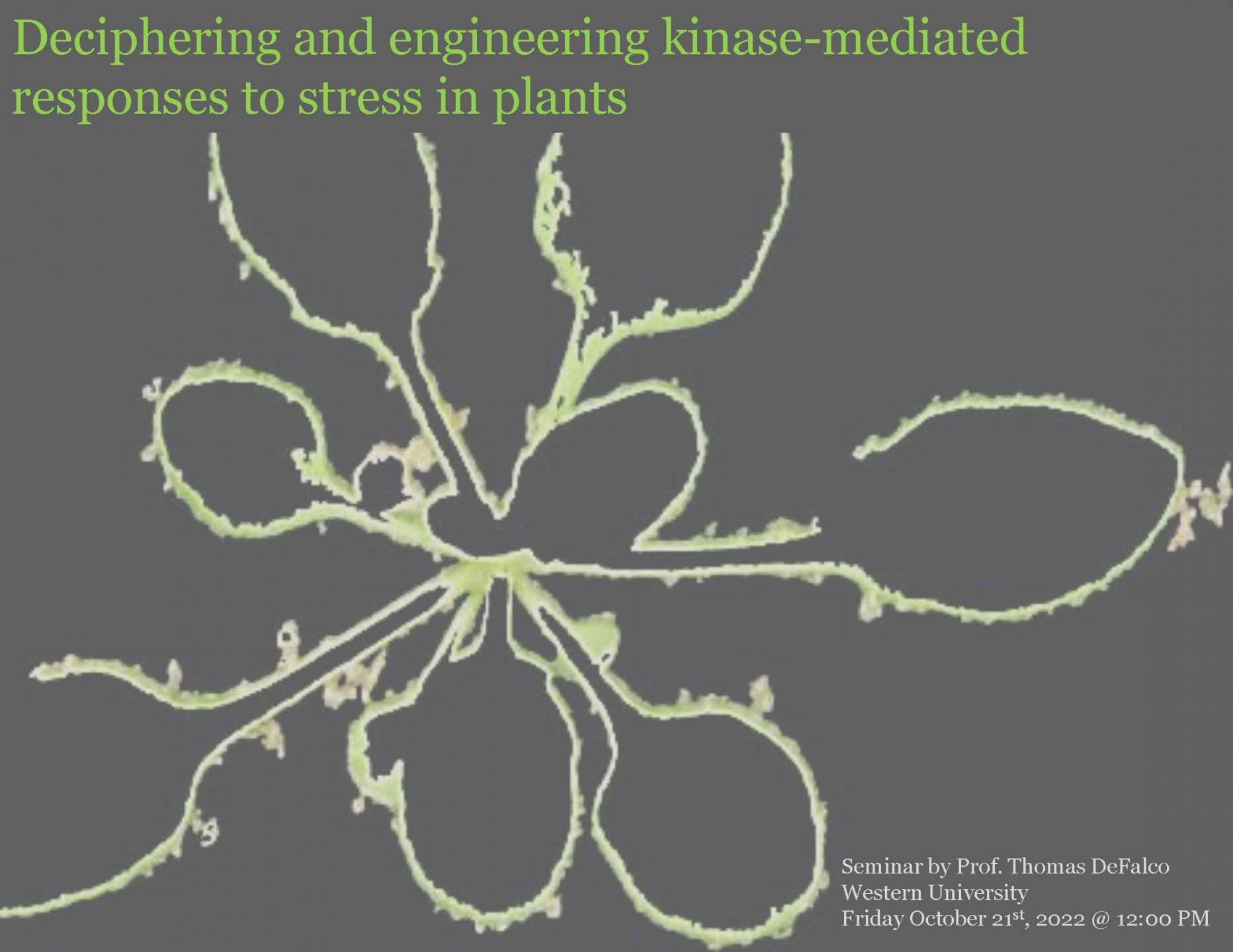 Deciphering and engineering kinase-mediated responses to stress in plants - Presented by Prof. Thomas Defalco