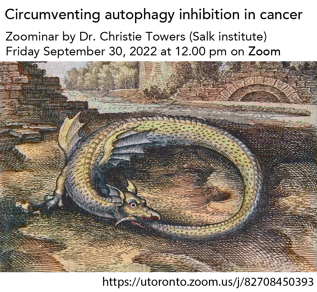 Circumventing autophagy inhibition in cancer - Presented by Dr. Christie Towers