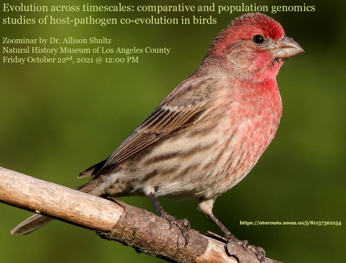 Evolution across timescales: comparative and population genomics studies of host-pathogen co-evolution in birds