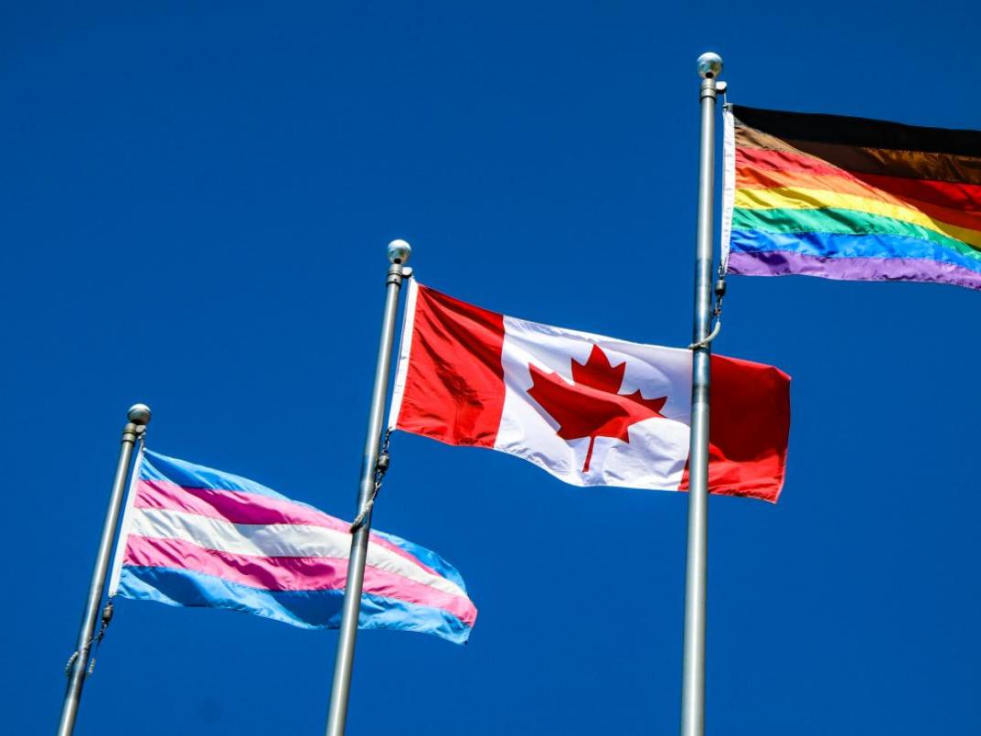 pride flags with canadian flag