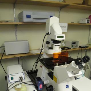 Apotome Optical Sectioning Microscope