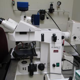 Epifluorescence Upright Microscope (Zeiss)-2
