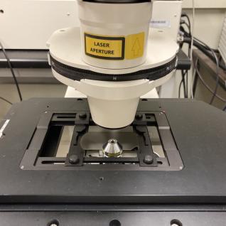 Laser Scanning Confocal Microscope (Inverted)-3