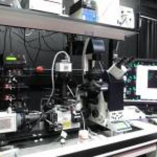 WaveFX Microscope