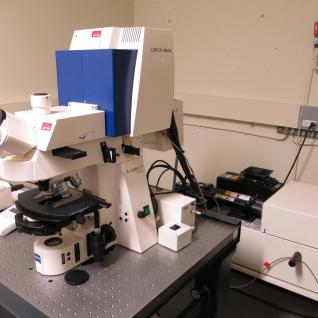 Laser Scanning Confocal Microscope (Upright)-2