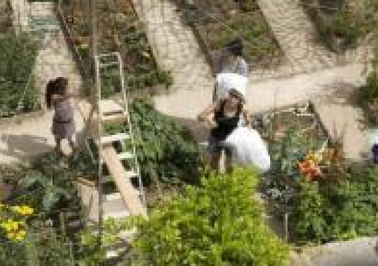 Listen to Camille Bégin talk about community gardens in Paris, France, as well as her upcoming book, on the Heritage Radio Network