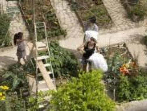Listen to Camille Bégin talk about community gardens in Paris, France, as well as her upcoming book, on the Heritage Radio Network