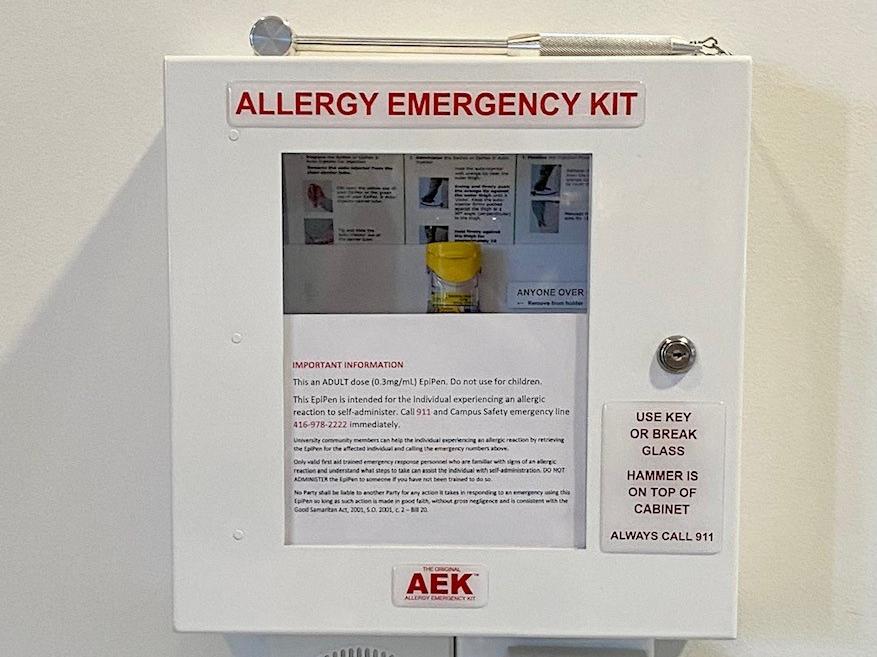 Allergy Emergency Kit
