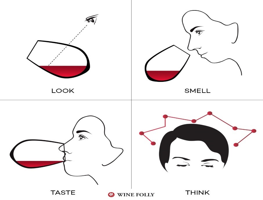 wine tasting instructions