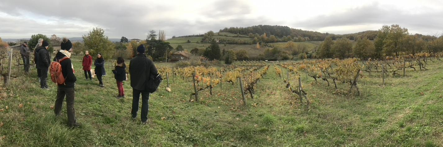 people standing near a vineyard out of season