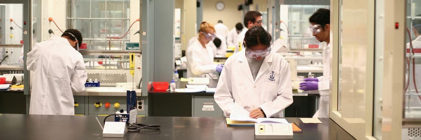 scientists examining samples in laboratory 