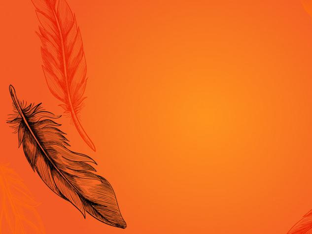 Orange background with an orange feather and a black feather on the left hand side