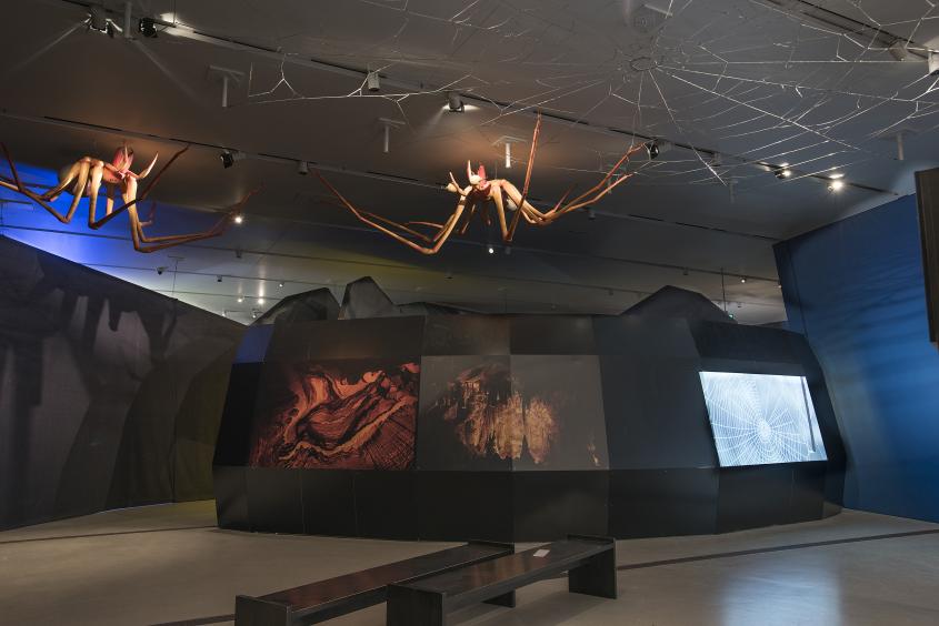 Part of the exhibit features large model spiders on the ceiling of the ROM.