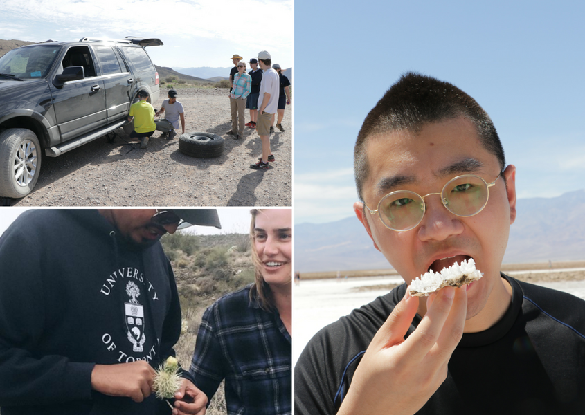 a photo of a cactus on someones hand, students changing a tire, and a student eating pure salt
