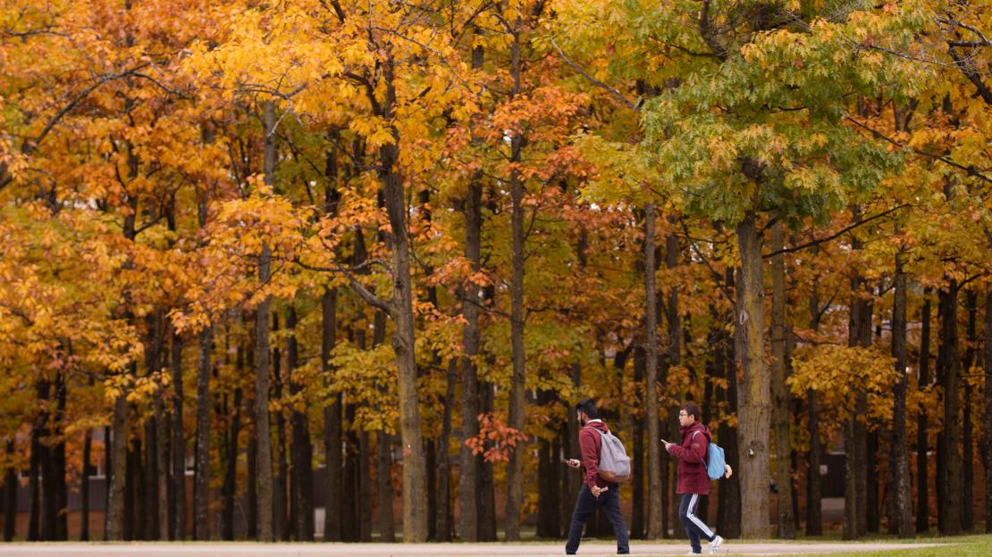 Students walking at UTSC in the fall