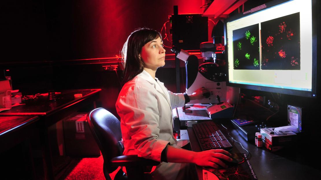 Assistant Professor Bebhinn Treanor is a Canada Research Chair in Spatially-Resolved Biochemistry whose research focuses on the biochemical processes that drive immune cell activation.