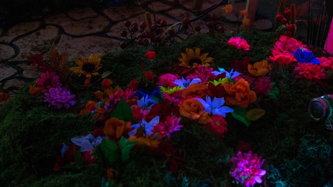 A glow-in-the-dark exhibit, titled &quot;Spring Arrives in October,&quot; by YouthGEN.