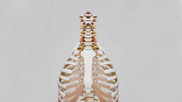 A picture of a skeleton