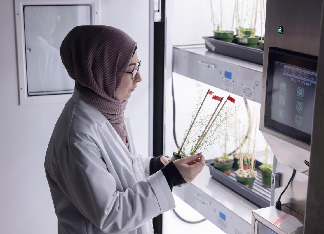 Researcher looks at plant next to a growth chamber with bright lights