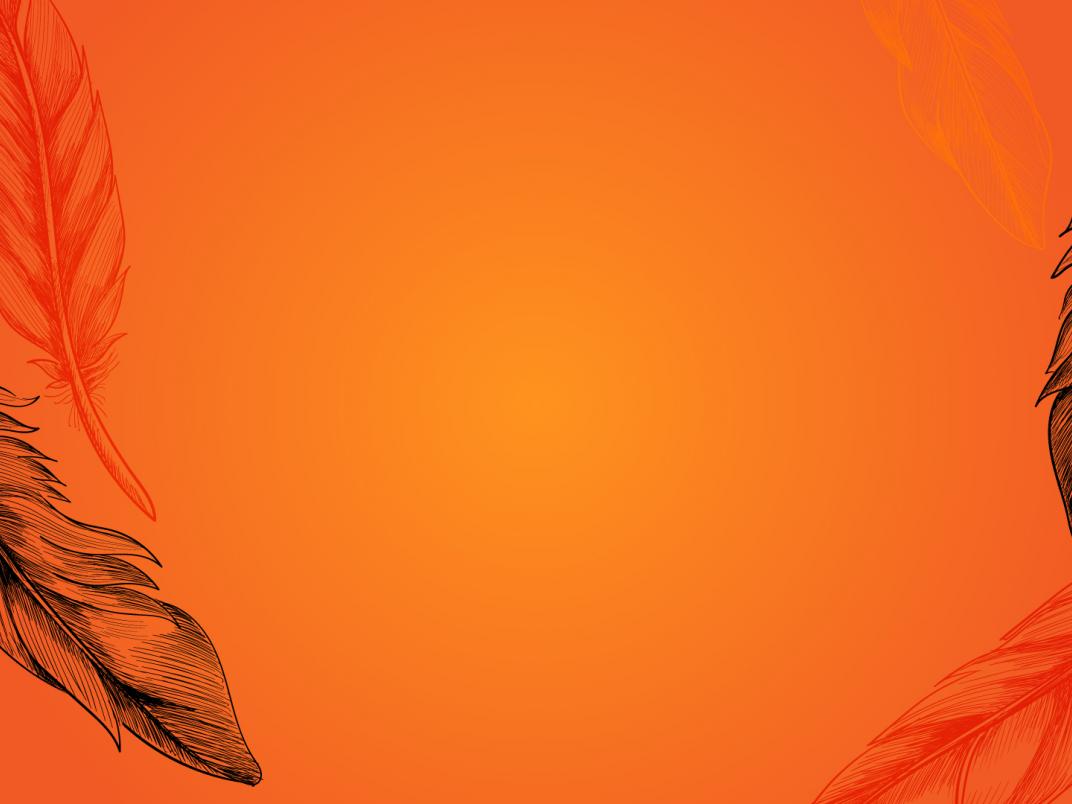 Orange virtual background with black and orange feathers created for use during Truth and Reconciliation week.