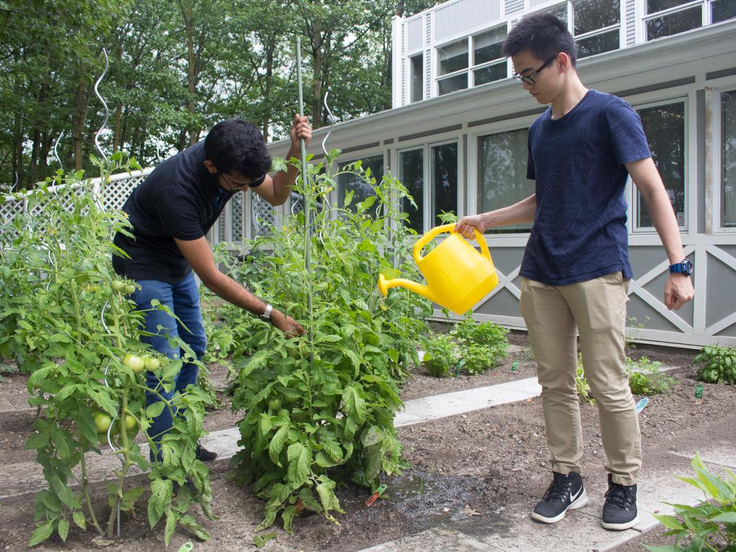 Residence students take some time out from academic life to tend to the community gardens.