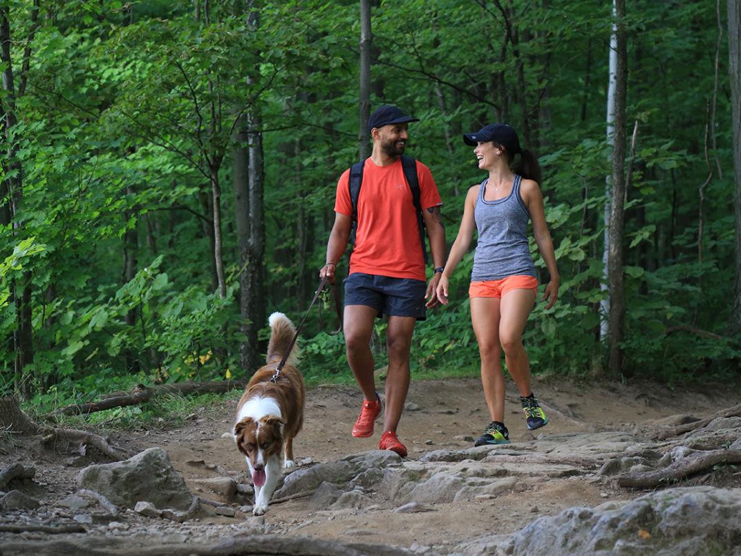 Two hikers walk through a forest with a dog