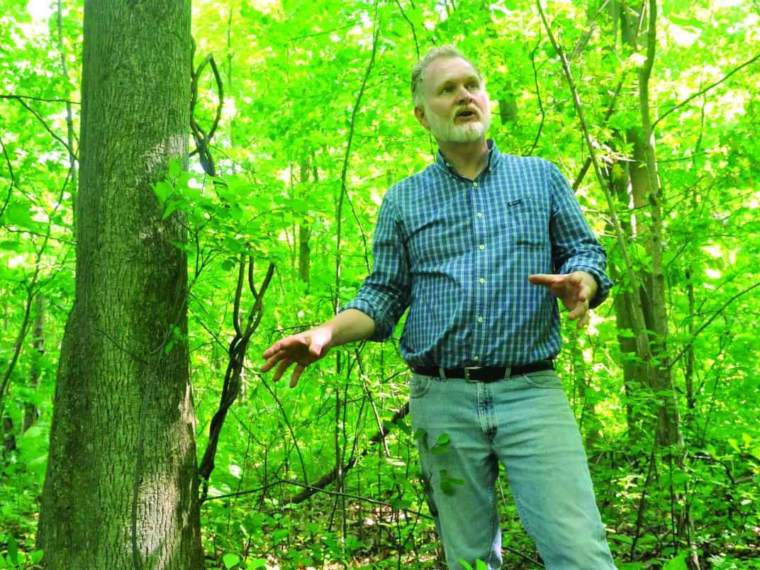 Alumnus Jim Robb in a forest.