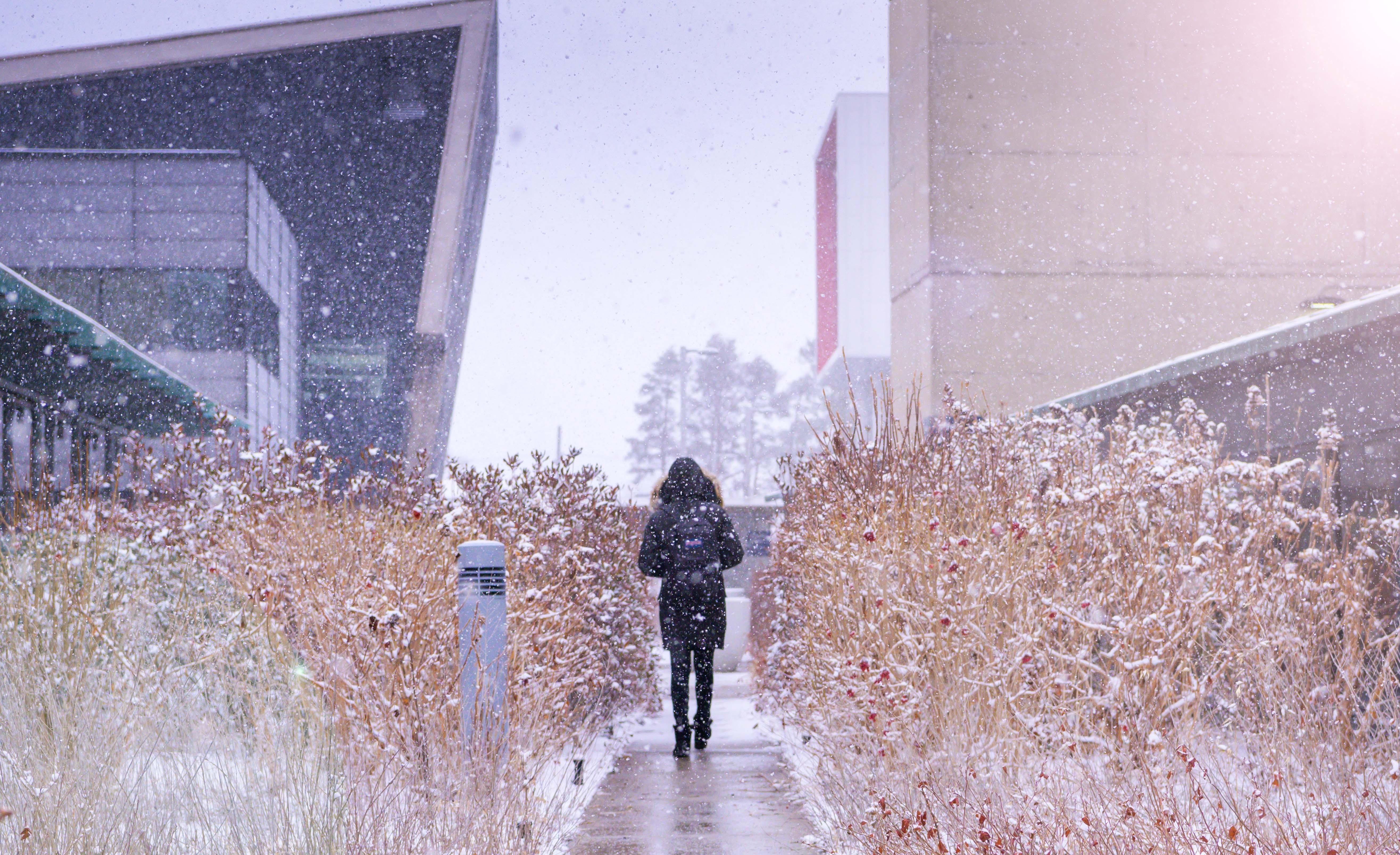 Photo of person walking through a snowy UTSC campus.