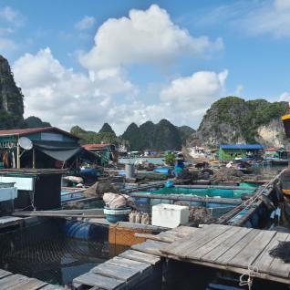 A fishing village in Cat Ba, Vietnam