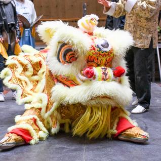 Lion dancer costume