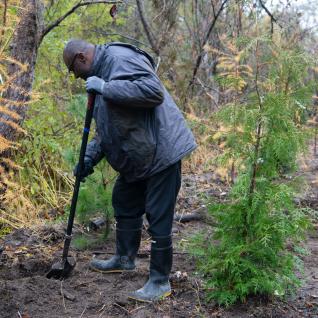 Wisdom Tettey plants trees in the Valley