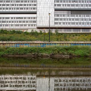 An image of Will Kwan's art installation, "A Park for All" along the industrial retaining walls of the Don River.